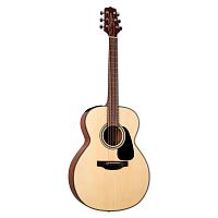 TAKAMINE GLN12E-NS